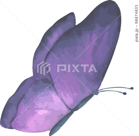 A collection of watercolour butterflies, scalable vector drawings 98874835