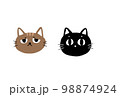Neko 98874924