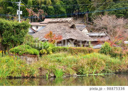 金鱗湖畔風景　大分県由布市湯布院町 98875336