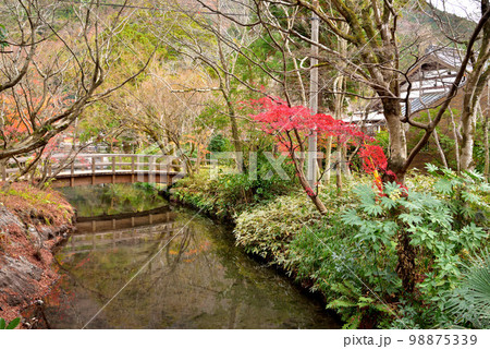 近隣湖畔風景　大分県由布市湯布院町 98875339