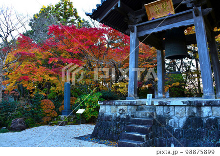 龍潭寺の紅葉 98875899