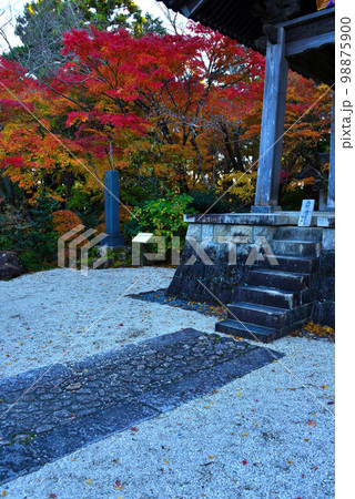 龍潭寺の紅葉 98875900