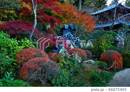 龍潭寺の紅葉 98875905