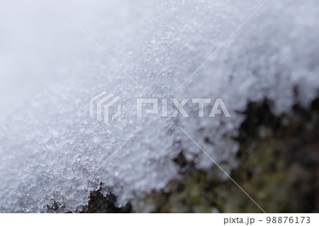 庭石に積る雪 98876173