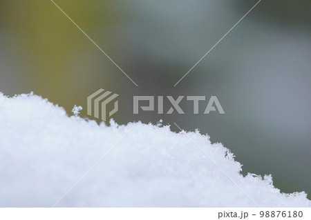 新雪の結晶 新雪の結晶 98876180
