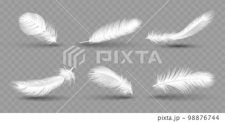 White falling angel or dove feathers. Smooth bird objects, swan Fluffy wing, soft light shadow plume, realistic air plumage isolated on transparent background. Lightweight vector 3d concept 98876744