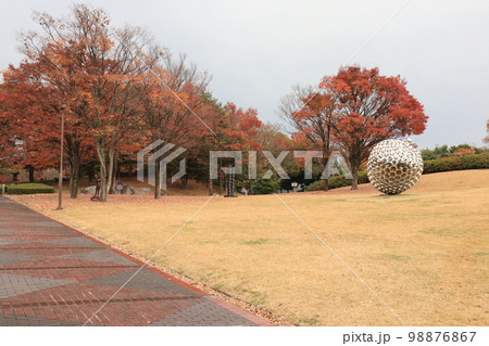 山梨県立文学館の庭園の風景 山梨県立文学館の庭園の風景 98876867