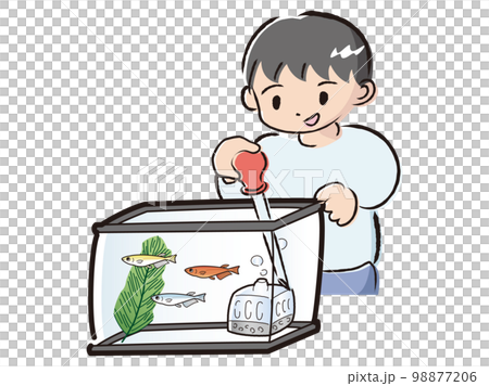 照顧青鱂(換水)的男孩 照顧青鱂(換水)的男孩 98877206