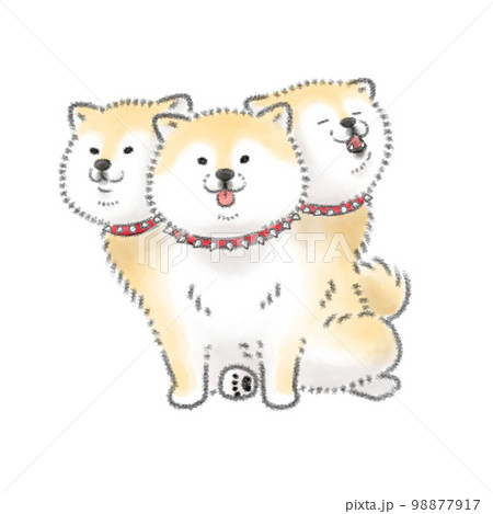 柴犬のケルベロス 柴犬のケルベロス 98877917