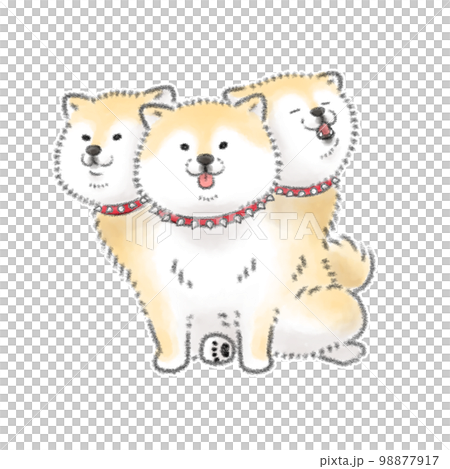 柴犬のケルベロス 柴犬のケルベロス 98877917