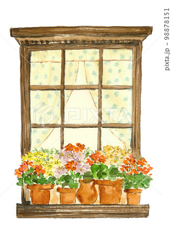 窓辺に飾られた鉢植えのイラスト【手描き水彩】白バック PNG 窓辺に飾られた鉢植えのイラスト【手描き水彩】白バック PNG 98878151