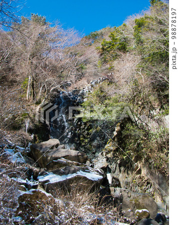 雪に覆われた箱根の飛龍の滝 98878197