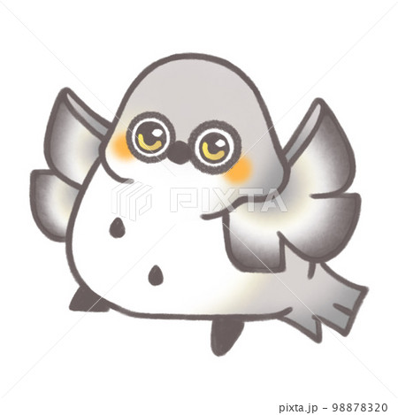 翼を広げるフクロウ 翼を広げるフクロウ 98878320