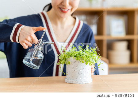 観葉植物と若い女性 98879151