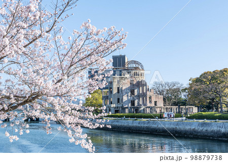 広島県広島市 満開の桜と原爆ドーム 広島県広島市 満開の桜と原爆ドーム 98879738