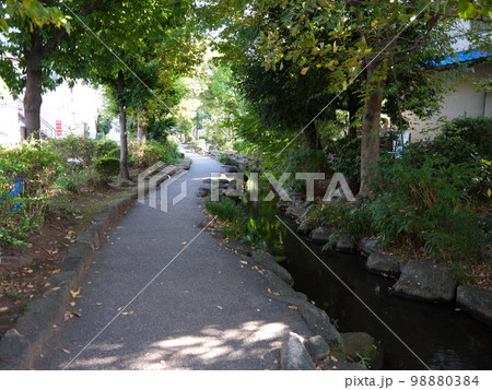 見沼代親水公園散策 見沼代親水公園散策 98880384