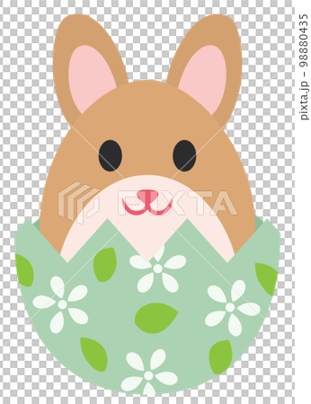 イースターのウサギと卵のイラスト イースターのウサギと卵のイラスト 98880435