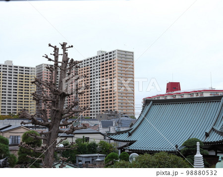 市川散策 98880532