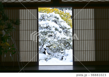京都市岩倉 妙満寺の雪見障子越しの雪の庭 98881023