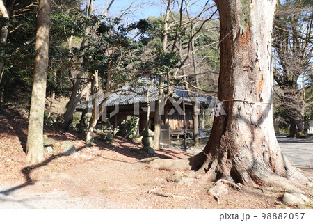 冬の富貴寺と神木　国宝　大分県　豊後高田市 98882057