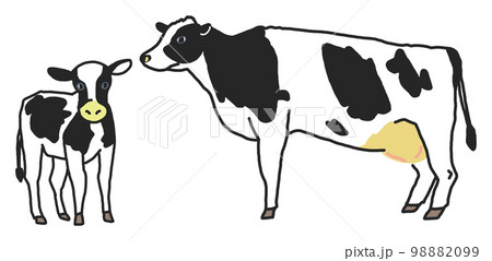 リアル寄りの大きな乳牛と子牛　イラスト素材 98882099