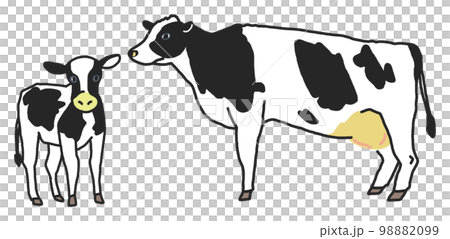 リアル寄りの大きな乳牛と子牛　イラスト素材 98882099