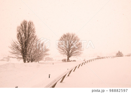 写真　セピア色の冬の風景　あらえびす記念館の冬の情景 98882597