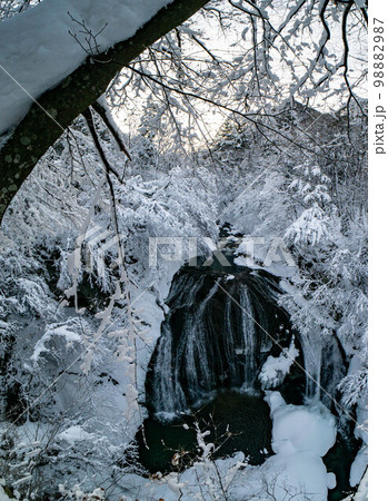 冬の関山大滝 98882987
