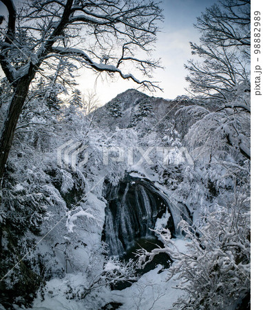 冬の関山大滝 冬の関山大滝 98882989