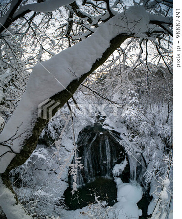 冬の関山大滝 98882991