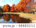 湖面に映る紅葉 98883211