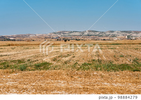 Half harvested yellow ripe wheat field in a rural countryside. Landscape with golden spikelets. Summer harvest. Agricultural business concept. Half harvested yellow ripe wheat field in a rural countryside. Landscape with golden spikelets. Summer harvest. Agricultural business concept. 98884279
