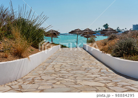 Path with flower beds with plants leading to the beach with umbrellas and surrounded by a beautiful nature of Cyprus. Ayia Napa. Path with flower beds with plants leading to the beach with umbrellas and surrounded by a beautiful nature of Cyprus. Ayia Napa. 98884295