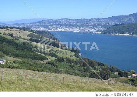 【ニュージーランド】オタゴ半島から臨むダニーデン 98884347