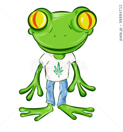 Frog Cartoon Character with t shirt . isolated...のイラスト素材