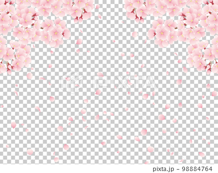 満開の桜と桜吹雪のイラスト 98884764
