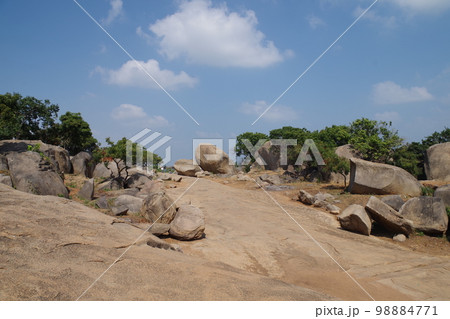 インド 世界遺産マハーバリプラムの建造物群 インド 世界遺産マハーバリプラムの建造物群 98884771