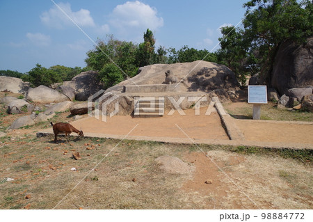 インド 世界遺産マハーバリプラムの建造物群 インド 世界遺産マハーバリプラムの建造物群 98884772