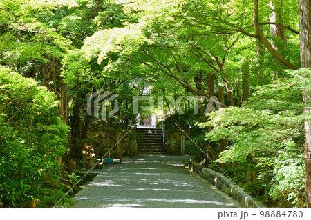 京都 龍安寺 98884780