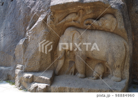 インド 世界遺産マハーバリプラムの建造物群 インド 世界遺産マハーバリプラムの建造物群 98884960