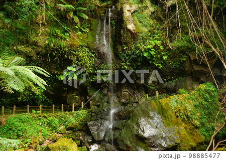 日本 東京 八丈島 裏見ヶ滝	 98885477