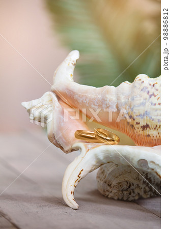 Two gold wedding rings on large white shell on wooden background with palm tree. Marriage proposal, Valentine's day. Copy space 98886812