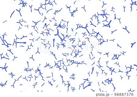 抗体のイメージ 98887376