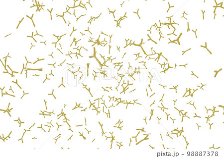 抗体のイメージ 98887378