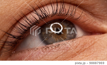 A woman's eye with long black eyelashes after lamination. Closeup opened girl's eye  with long black eyelashes. Close-up of the woman eye with long black lashes. 98887969