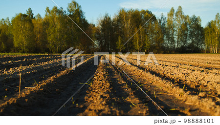 Closeup soil, on a green trees background in spring. Camera moves close to the ground in a plowed farm field. Agriculture business concept. Low angle. Slow motion. Closeup soil, on a green trees background in spring. Camera moves close to the ground in a plowed farm field. Agriculture business concept. Low angle. Slow motion. 98888101