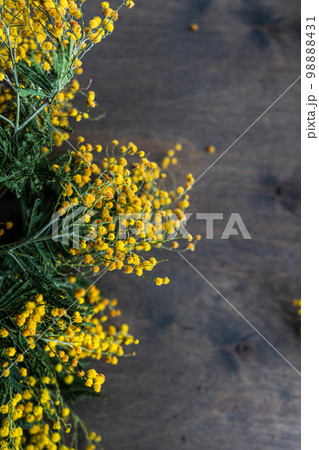 Frame with yellow mimosa flowers Frame with yellow mimosa flowers 98888431