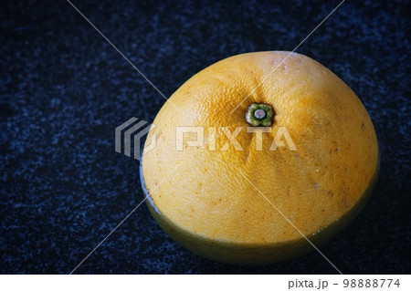 温泉に浮かぶボンタン 温泉に浮かぶボンタン 98888774