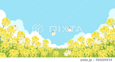 菜の花畑 背景素材 菜の花畑 背景素材 98889934