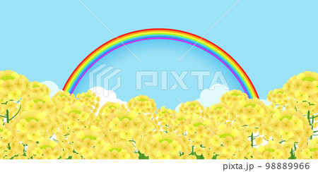 菜の花畑 背景素材 菜の花畑 背景素材 98889966